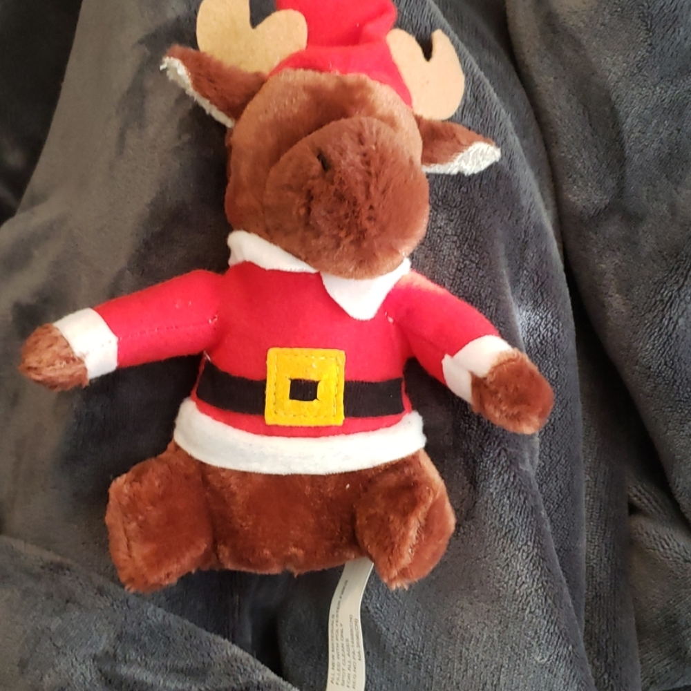 Dog toy